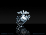U.S.M.C.R.