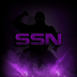 Shadow Storm Ninja's Rally