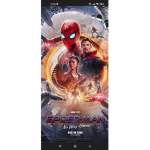 Spider Adin Gang