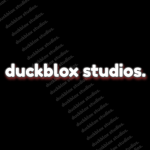 duckblox studio