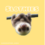 The Sloth-ies