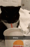 shlerp