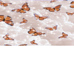 Butterflyxbbys