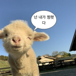 세상모든 예쁜이,멋쟁이,귀요미 모여라!!