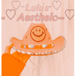 --lulu’s aesthetic--