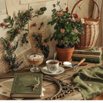Softie Vibes Home Store