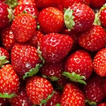 Hannah’s Strawberry squad! Group Thumbnail