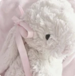 - kittenss - Group Thumbnail