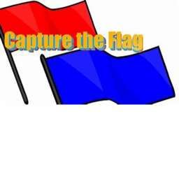 Capture the flag :D