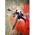 X wing squad.