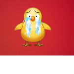 Best canard