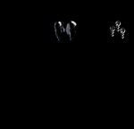 unchainedangels