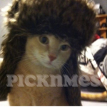 picknmes