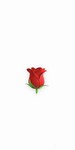 Hey wir sind die Rose Academy