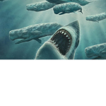 megalodon team