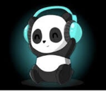 The Gaming Pandas