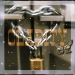 CLARITY's Homestore