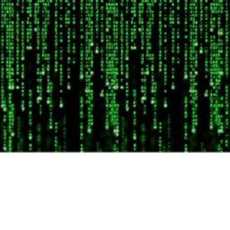 The hacked in 2025 :) roblox will be ours