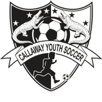 Forever fc