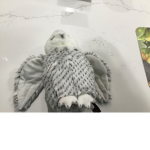 Snow owl Fun