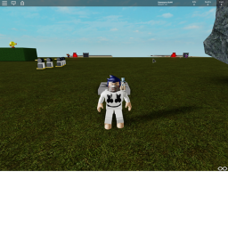 combat