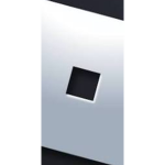 Roblox Fan club Premium