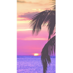سيدهه كوفيرهه