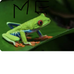 Frog group for friends