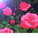 Falling Roses.