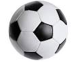 Roblox World Futsal Association