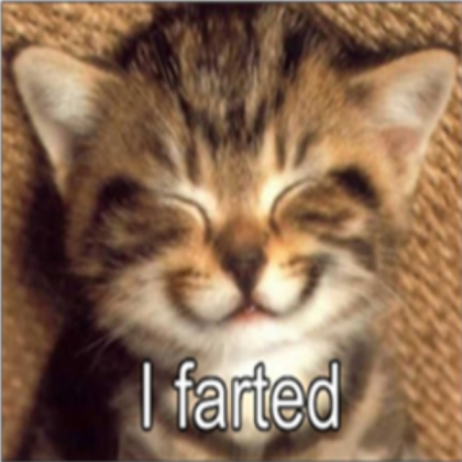 lol cat hehe Roblox decal
