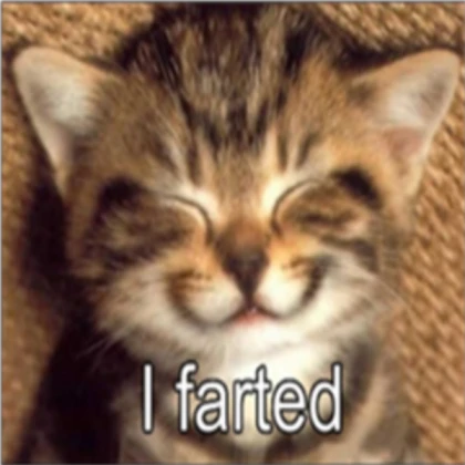 lol cat hehe