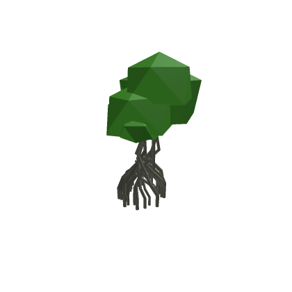 mangrovve tree