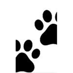 Predatorsgroup