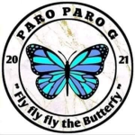 FlyHigh ButterFly
