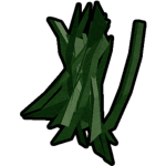 [CSC] Cooked Seaweed Clan