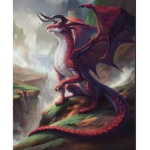 Dragons quest