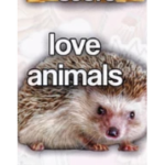 Sloth and hedgehog awesome group