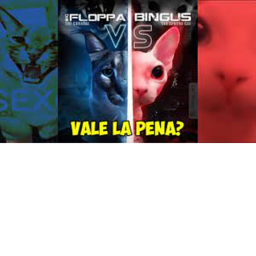 THE FLOPPA AND BINGUS WAR ¡update!