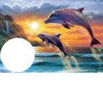 LA TEAM DOPHIN