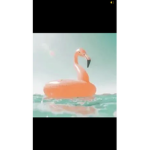 iixiriss