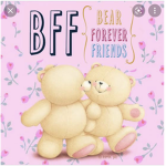 Bestie teddy group