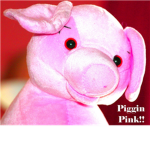 Pigs are epic!