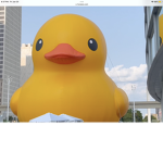 DUCKYS FOREVER