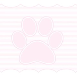 🐾