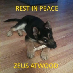 Rest in Peace, Zeus Atwood icon