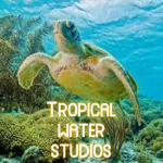 Tropical Water Studios
