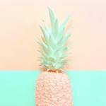 Fruit Army !!