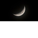 Lunarian Kin