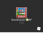 This is a brook haven group